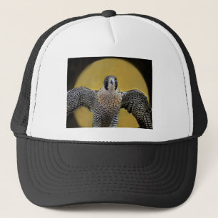 Casquette Augmentation de lune de faucon pérégrin