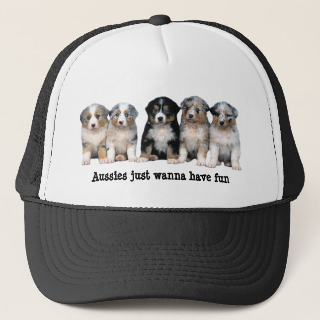 Casquette australien de chiots de berger (Devant)