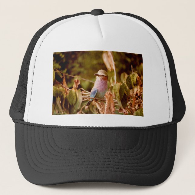Casquette Aviaire (Devant)