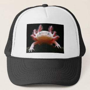 Casquette Axolotl Axolotl.png