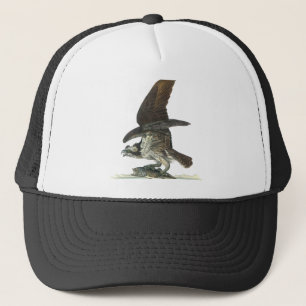 Casquette Balbuzard, John Audubon