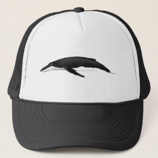 CASQUETTE BALEINE À HUMPBACK