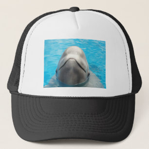 Casquette Baleine de beluga