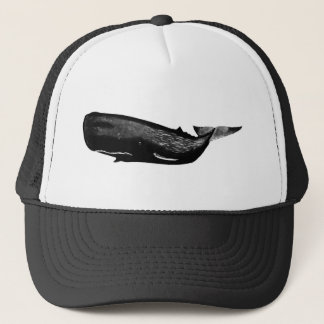 CASQUETTE BALEINE DE SPERME