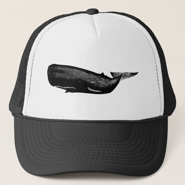 CASQUETTE BALEINE DE SPERME (Devant)