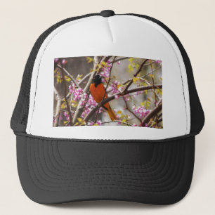 Casquette Baltimore Oriole