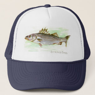 Casquette Bar d'Amérique