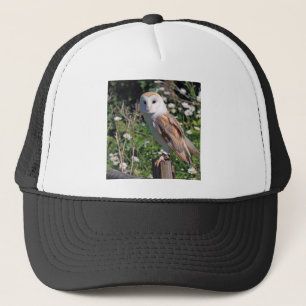 Casquette Barn Owl