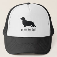 Basset allemand aux cheveux longs