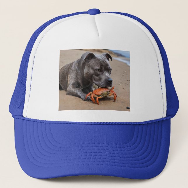 Casquette "Beachside Pals : A Staffy and its Crab Companion" (Devant)