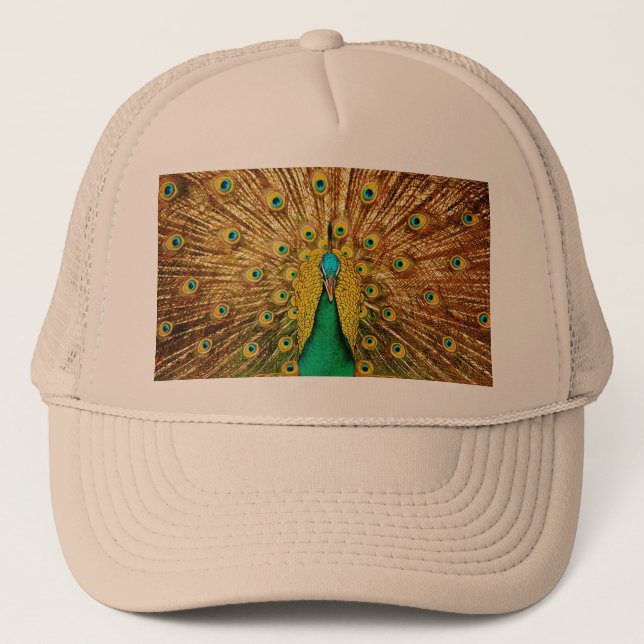 Casquette Beau Peacock (Devant)