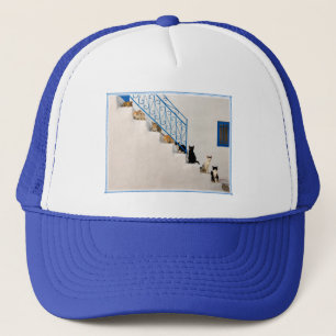Casquette Beaucoup de chats sur un escalier blanc dans un vi
