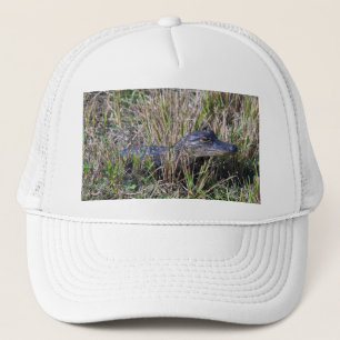 Casquette Bébé alligator mignon dans la photographie de natu