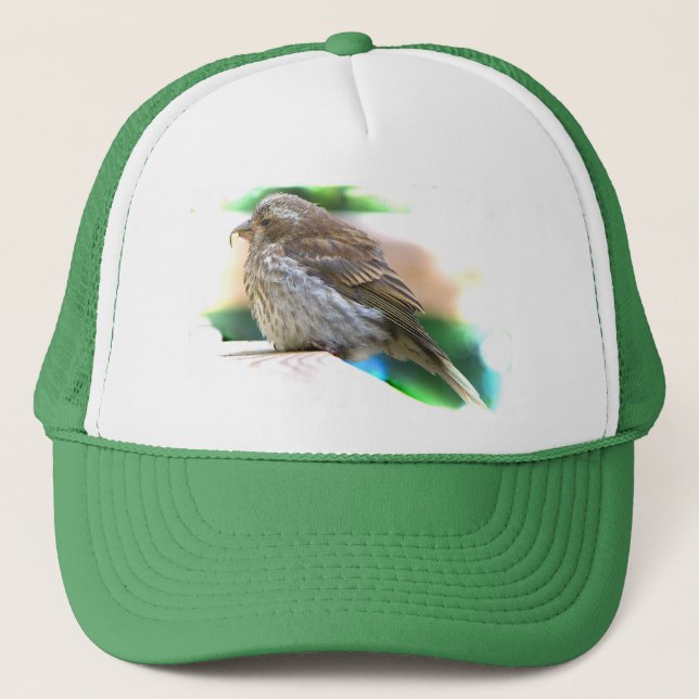 Casquette Bébé Finch (Devant)