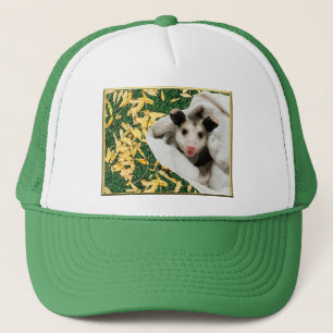 Casquette Bébé opossum adorable et doux