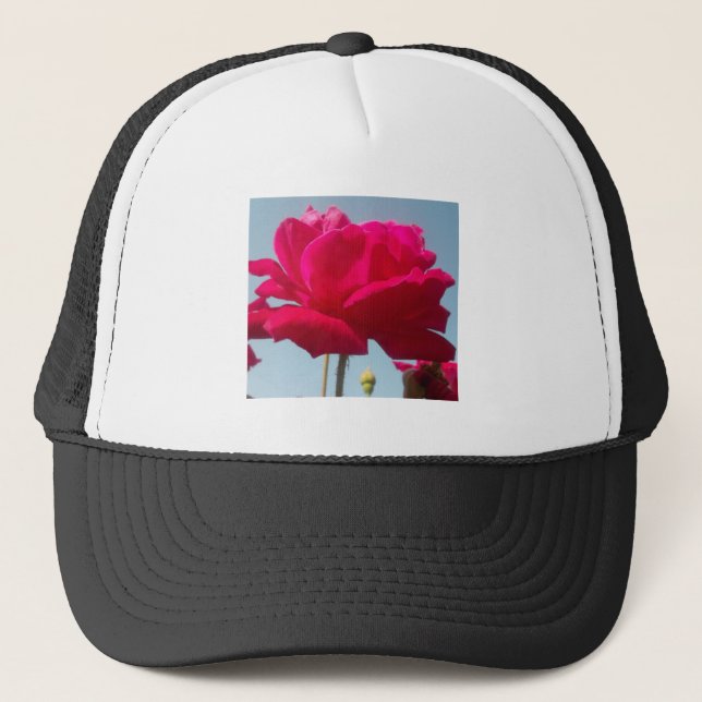 Casquette Belle belle Rose céleste rouge contre bleu (Devant)