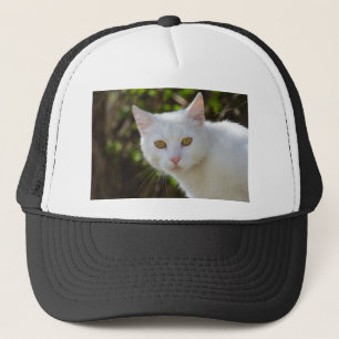 Casquette Belle Chat Blanc