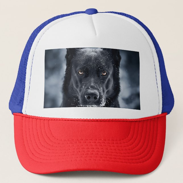 Casquette Berger Allemand Noir (Devant)