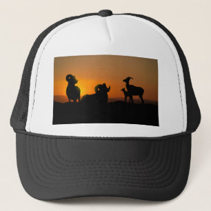 Casquette Bighorn Sheep