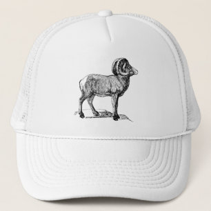 Casquette Bighorn Sheep