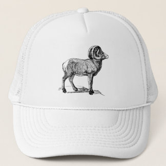 Casquette Bighorn Sheep