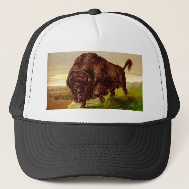 Casquette Bison américain (Devant)