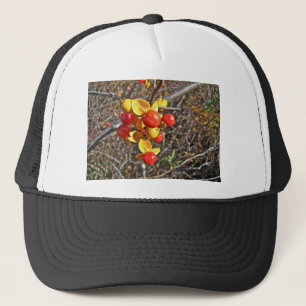 Casquette Bitsweet Vine Berries Produits