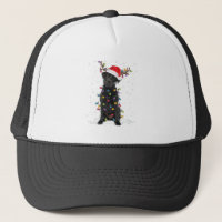 Black Lab Labrador Christmas Tree Light Pyjama Chi
