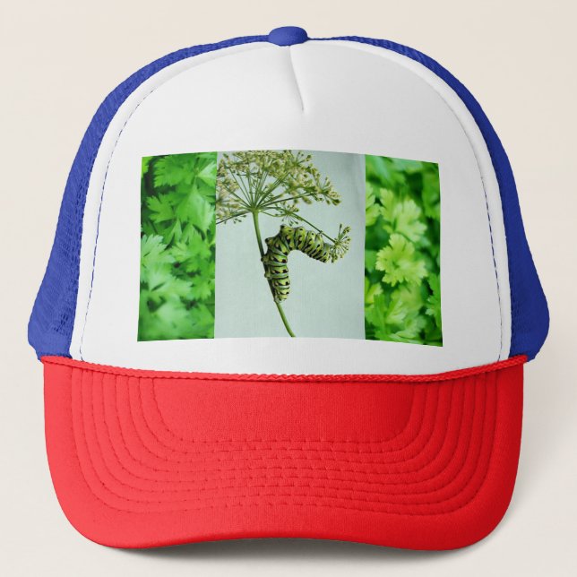 Casquette Black Swallowtail Manger Parsley (Devant)