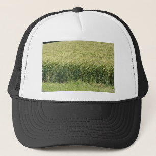 Casquette Blé - Savoureux !