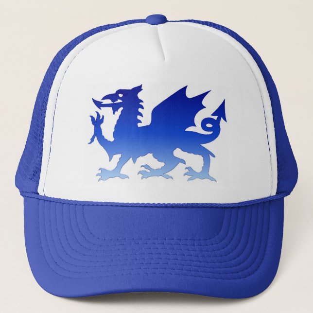 casquette bleu de dragon (Devant)