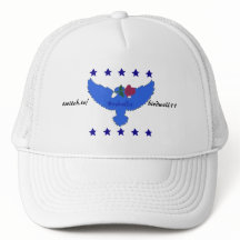 Casquette bleu de logo de tic