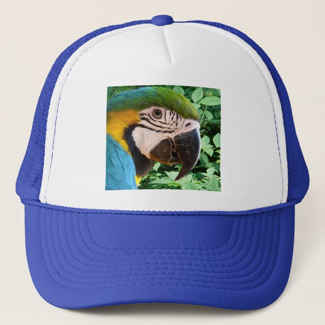 Casquette bleu de perroquet d'ara (Devant)