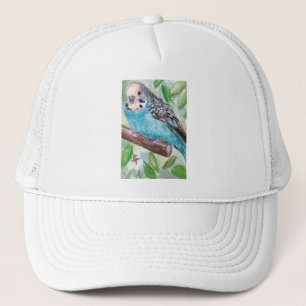 Casquette bleu de perruche