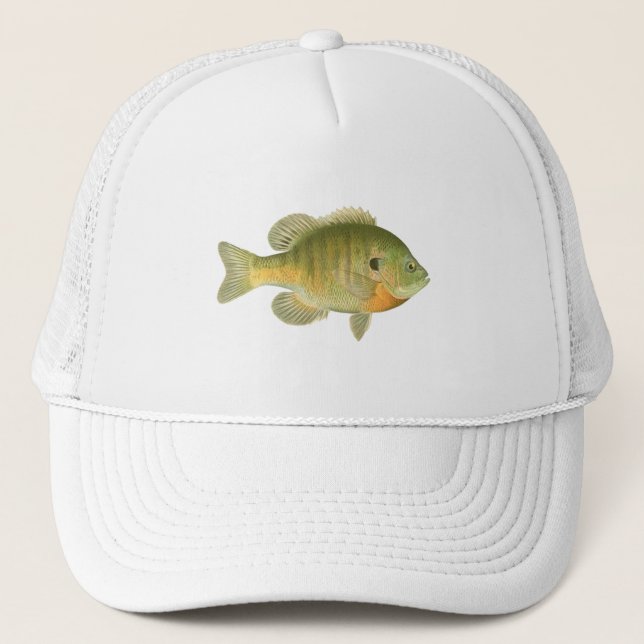 Casquette Bleuet femelle - Brise - Poisson soleil (Devant)