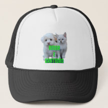Boné com Gato e Cachorro e Mensagem Amor e...