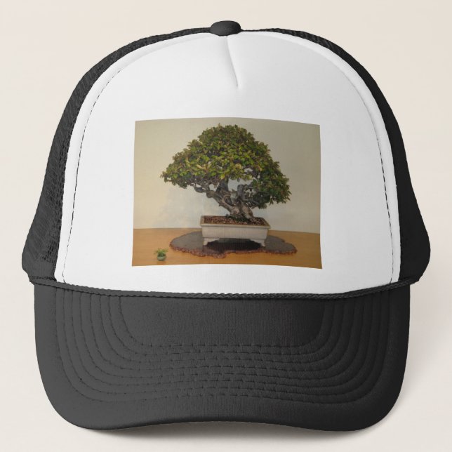 Casquette Bonsaïs à l'arborétum national, DC de Washington (Devant)