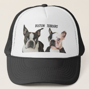 CASQUETTE BOSTON TERRIER-CAP