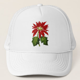Casquette botanique de poinsettia