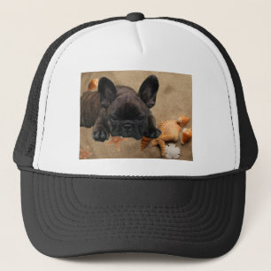 Casquette Bouledogue français sur la plage French Bulldog