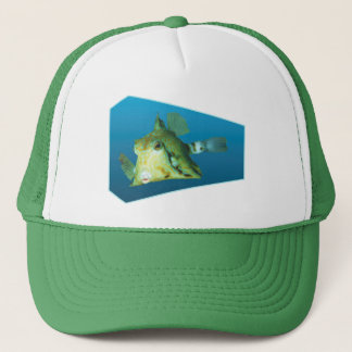 Casquette Boxfish - arrière - plan bleu dégradé |