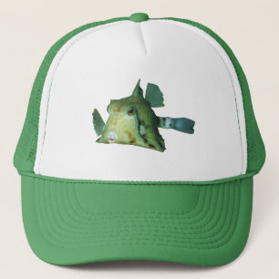 Casquette Boxfish - Conception abstraite - Découpe d'une pho