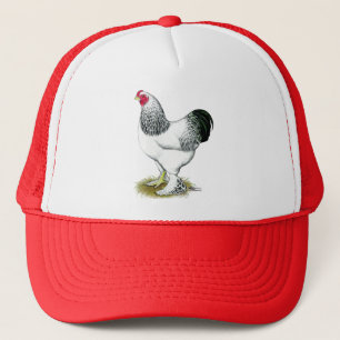 Casquette Brahma :  Coq léger
