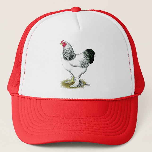 Casquette Brahma :  Coq léger (Devant)