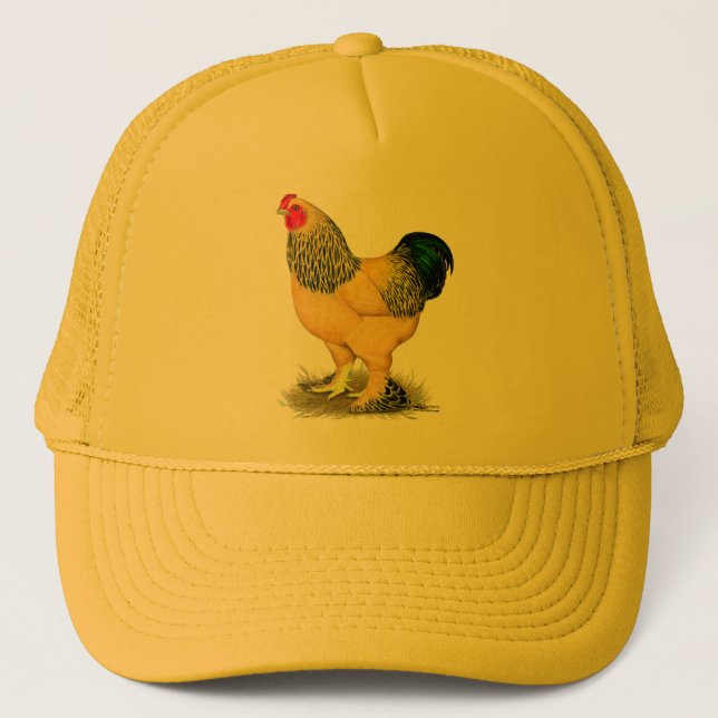 Casquette Brahma : Rooster Buff (Devant)