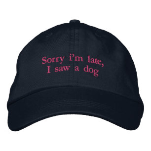 Casquette Brodée Désolé pour mon retard j'ai vu un chien drôle