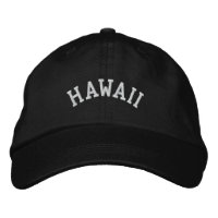 État d'Hawaii brodé