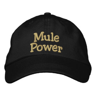 Casquette Brodée Puissance de Mule