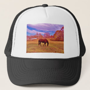 Casquette > Brown dans un champ de couleur onirique