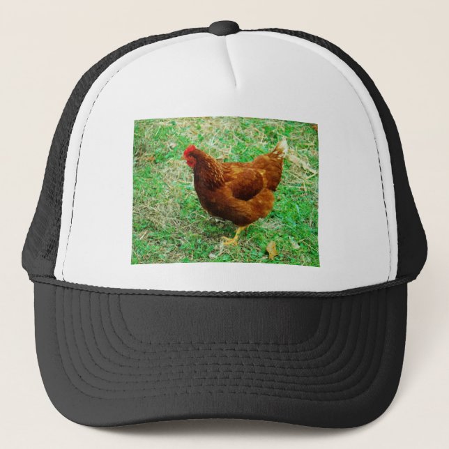 Casquette Brown Hen (Devant)